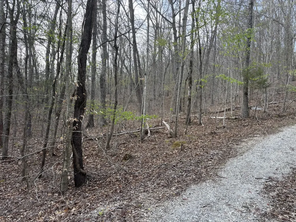 408 Back Valley Road Sale Creek TN 37373