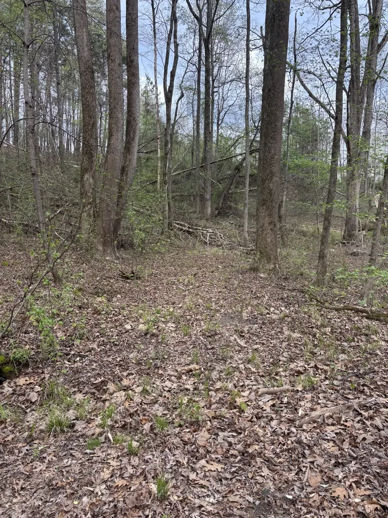 408 Back Valley Road Sale Creek TN 37373