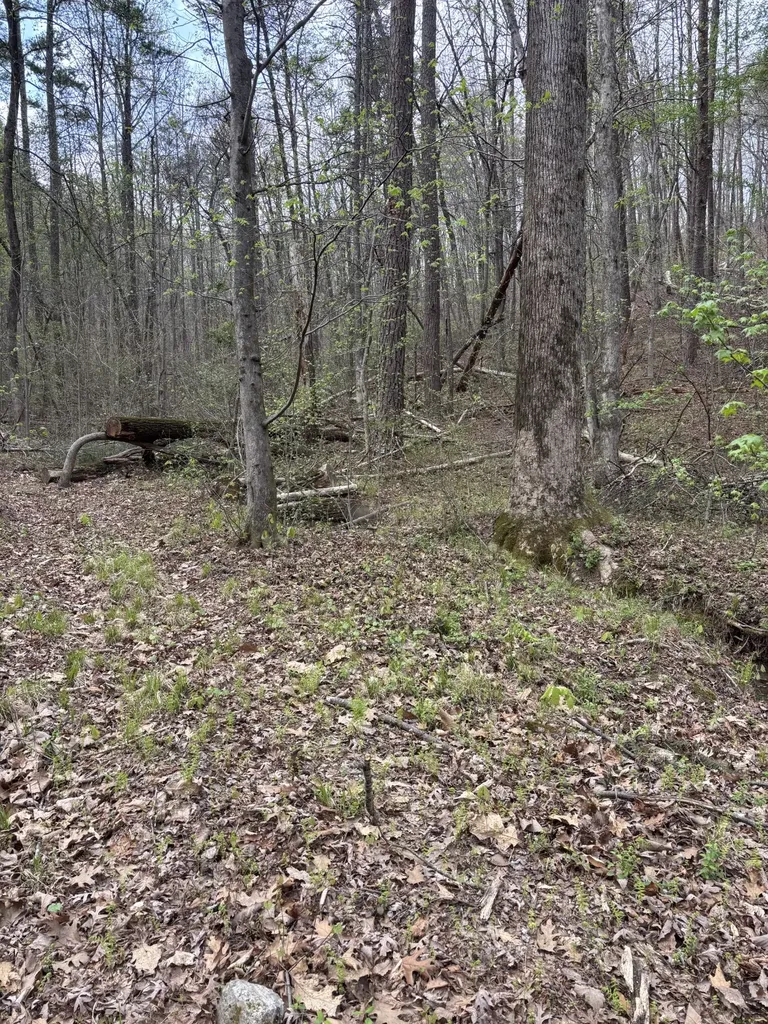 408 Back Valley Road Sale Creek TN 37373