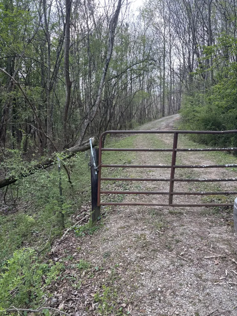 408 Back Valley Road Sale Creek TN 37373
