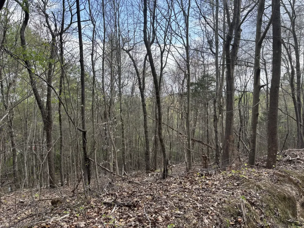 408 Back Valley Road Sale Creek TN 37373