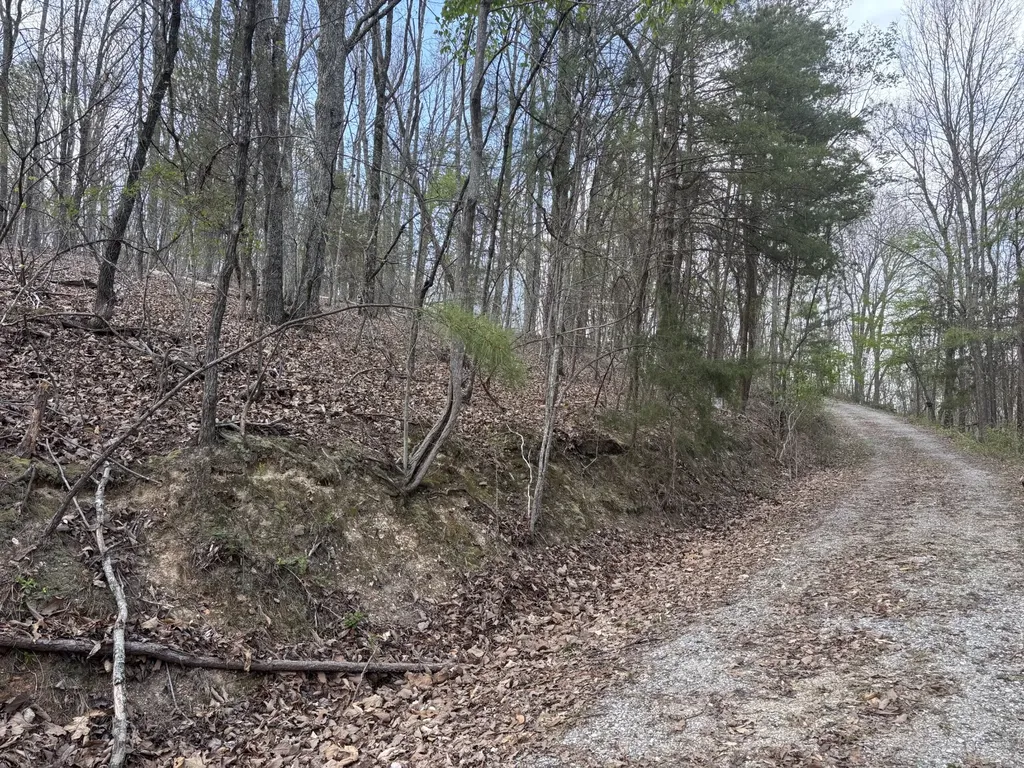 408 Back Valley Road Sale Creek TN 37373