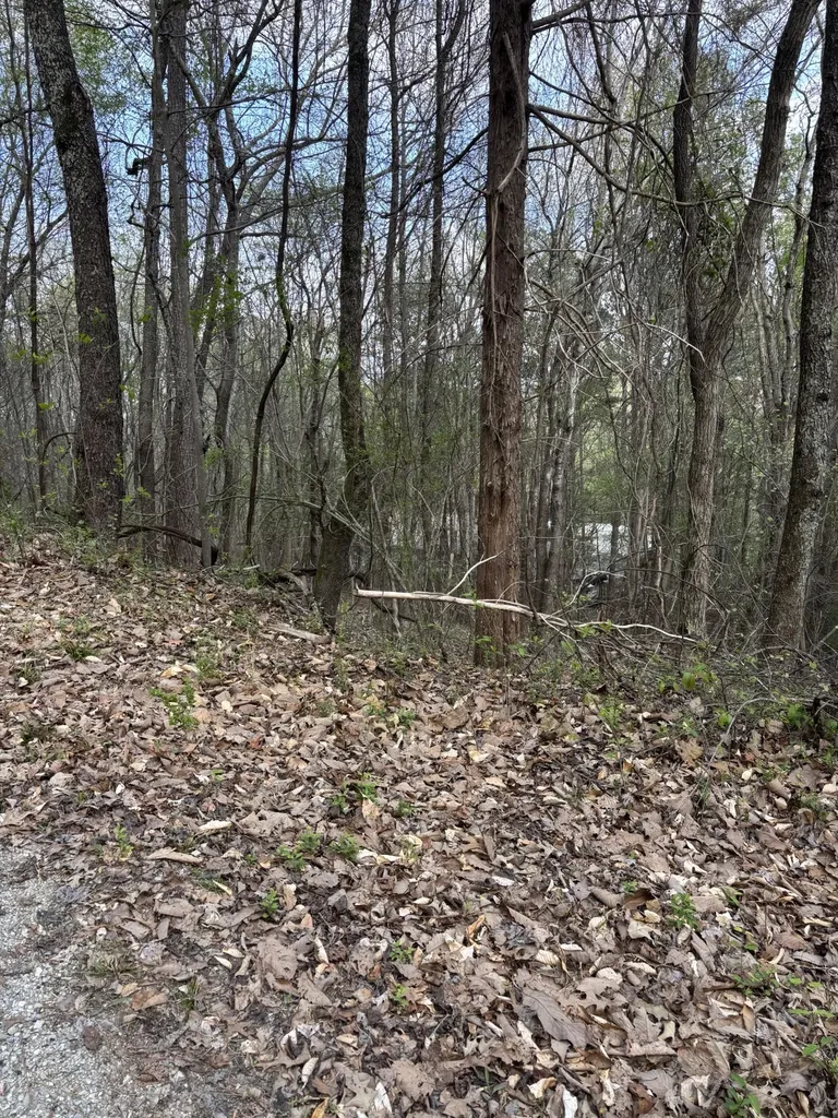 408 Back Valley Road Sale Creek TN 37373