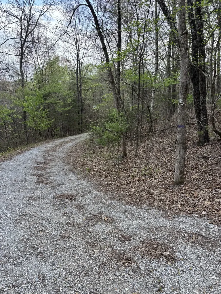 408 Back Valley Road Sale Creek TN 37373