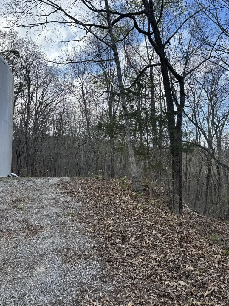408 Back Valley Road Sale Creek TN 37373