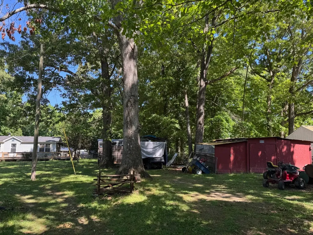 1729 Fountain Street White Bluff TN 37187
