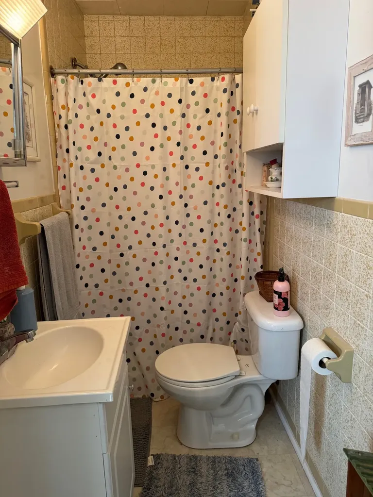 1729 Fountain Street White Bluff TN 37187