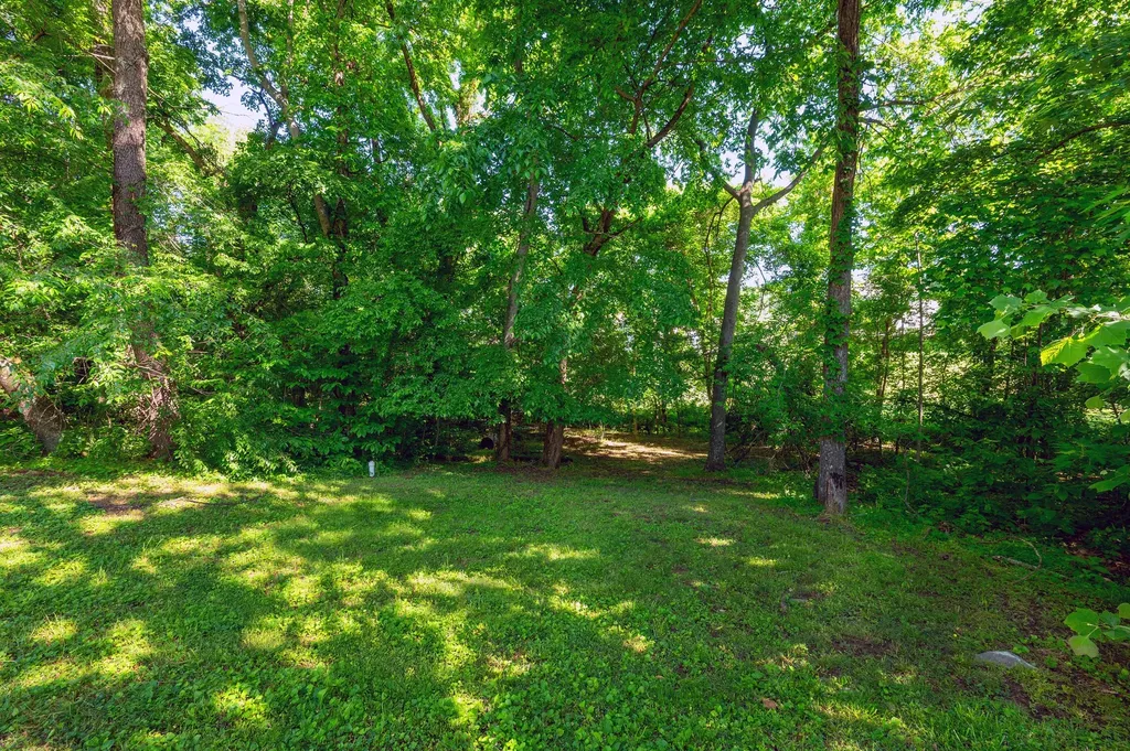 918 Hedge Apple Drive Clarksville TN 37040