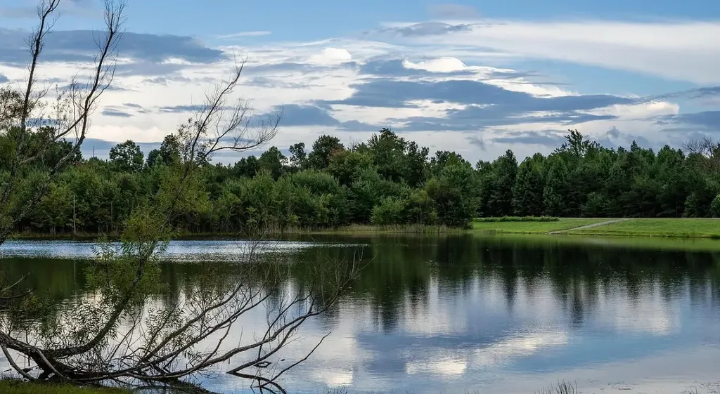 2958 Bluff View Drive, W Dunlap TN 37327