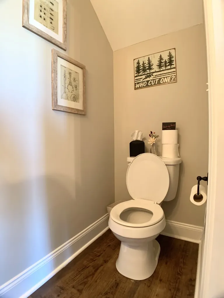 161 Jesse Drive Pleasant View TN 37146