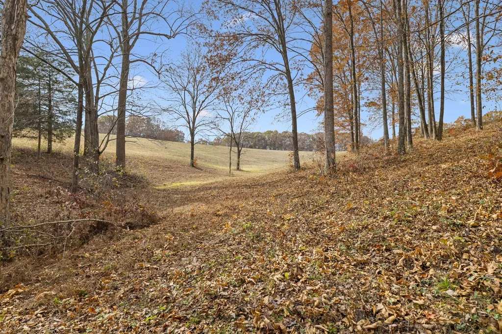 5515 Old Highway 96 Franklin TN 37064