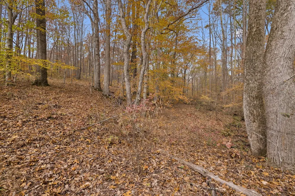5515 Old Highway 96 Franklin TN 37064