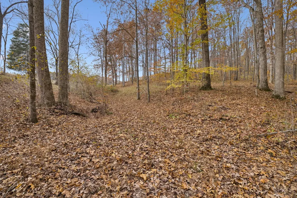 5515 Old Highway 96 Franklin TN 37064