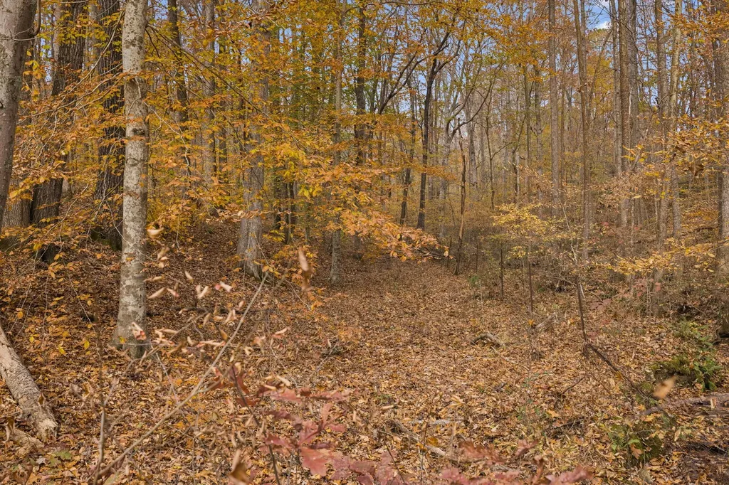5515 Old Highway 96 Franklin TN 37064