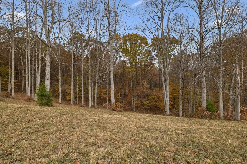 5515 Old Highway 96 Franklin TN 37064