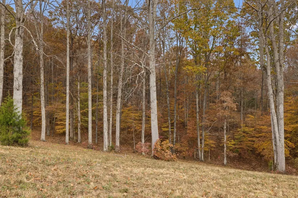 5515 Old Highway 96 Franklin TN 37064