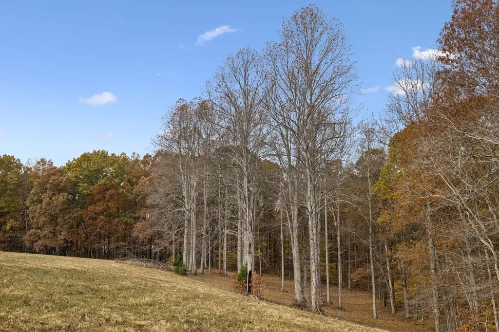 5515 Old Highway 96 Franklin TN 37064
