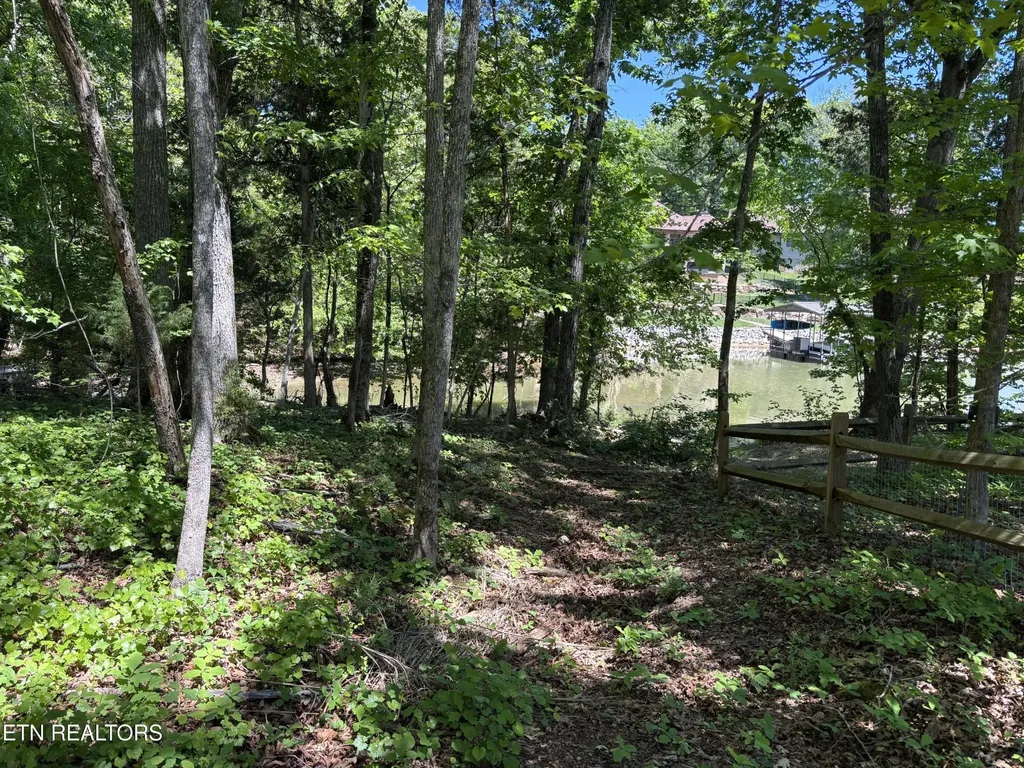 0 E Shore Drive Rockwood TN 37854