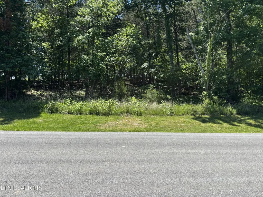 0 E Shore Drive Rockwood TN 37854