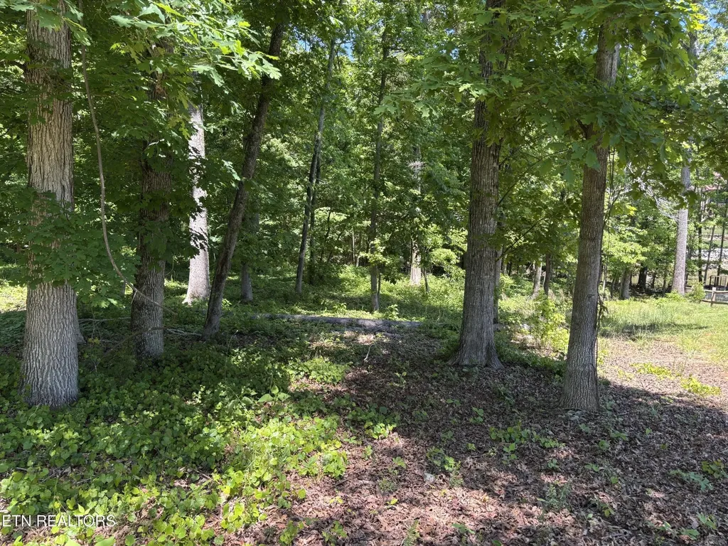 0 E Shore Drive Rockwood TN 37854