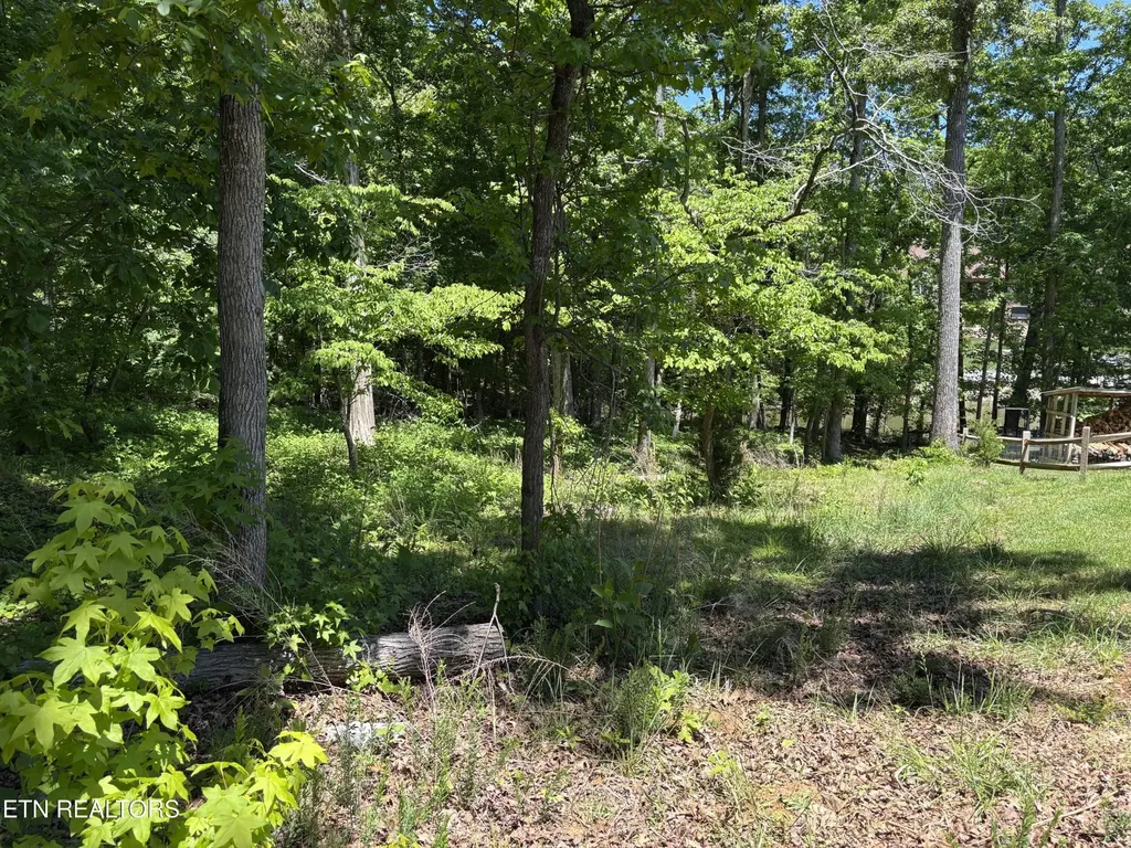 0 E Shore Drive Rockwood TN 37854