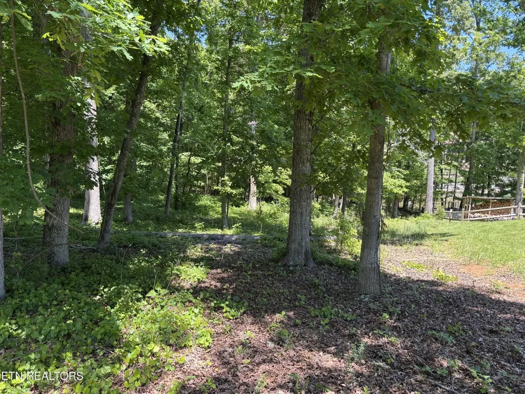 0 E Shore Drive Rockwood TN 37854