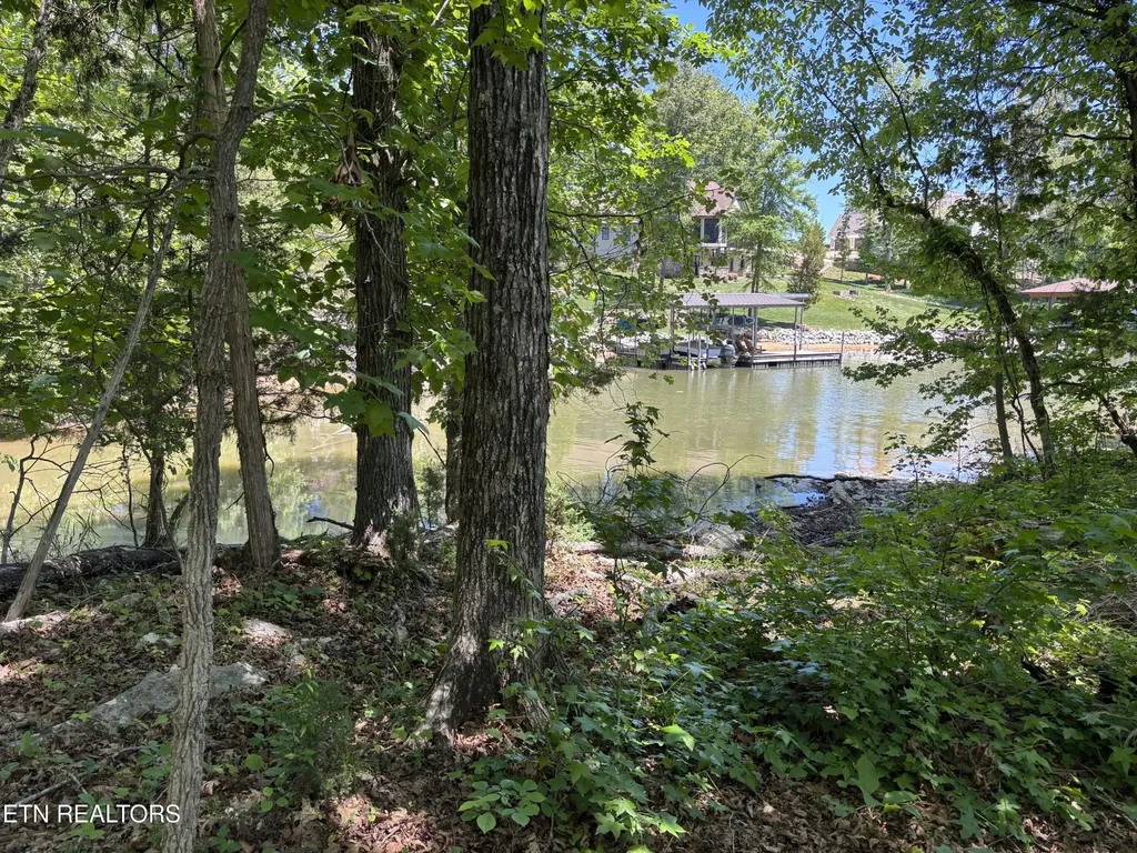 0 E Shore Drive Rockwood TN 37854