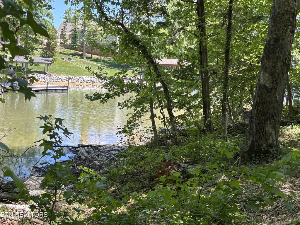 0 E Shore Drive Rockwood TN 37854