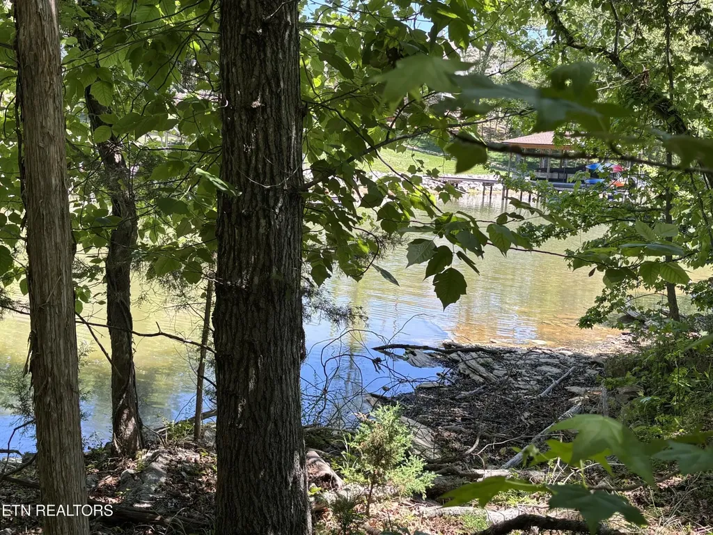 0 E Shore Drive Rockwood TN 37854