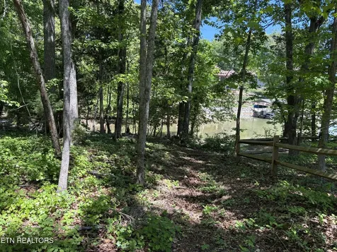 0 E Shore Drive Rockwood TN 37854