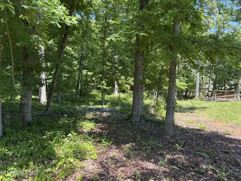 0 E Shore Drive Rockwood TN 37854
