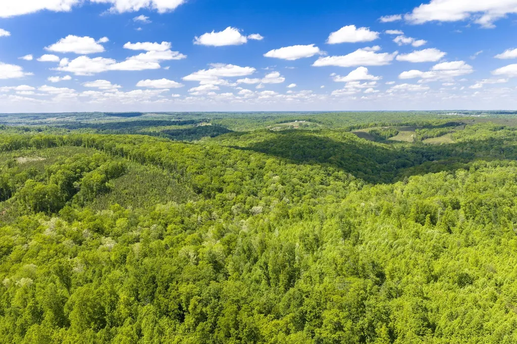 0 Oakwood Lane Pikeville TN 37367