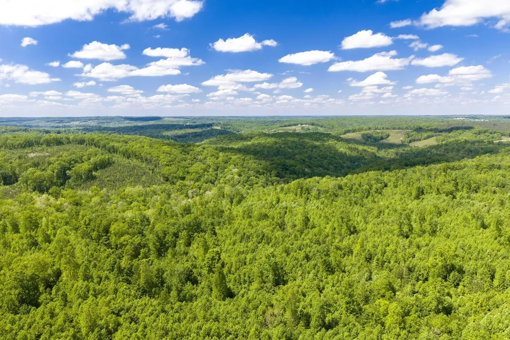 0 Oakwood Lane Pikeville TN 37367