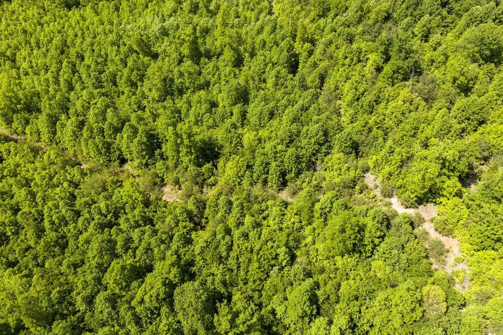 0 Oakwood Lane Pikeville TN 37367