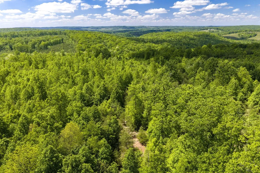 0 Oakwood Lane Pikeville TN 37367