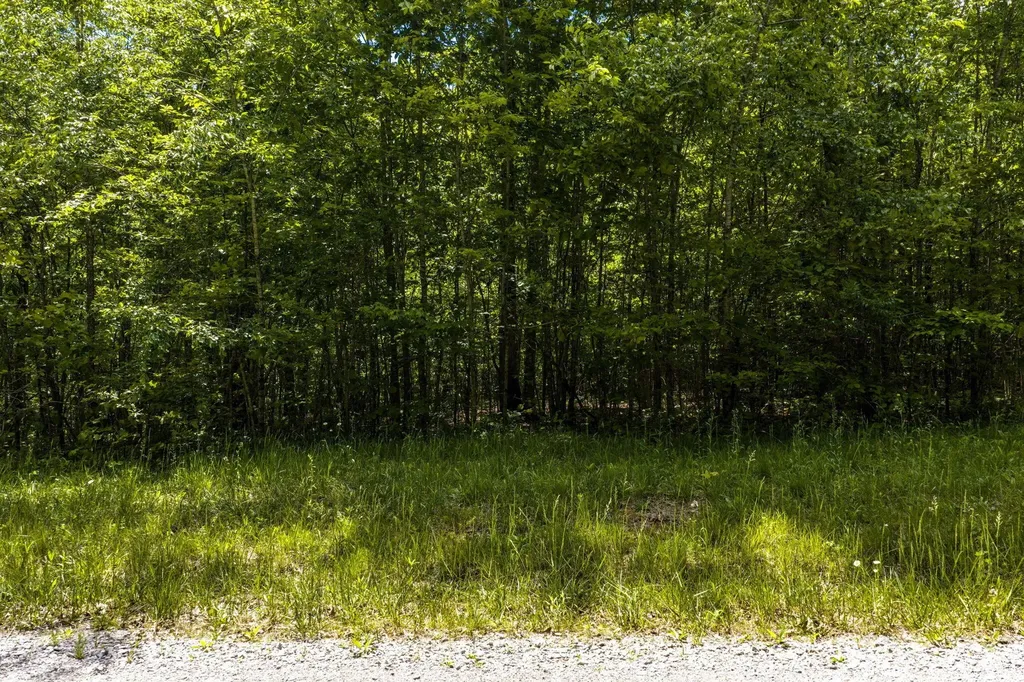 0 Oakwood Lane Pikeville TN 37367