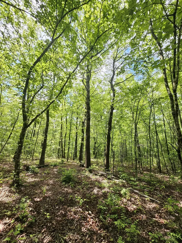 488 Hunters Trail Way Altamont TN 37301