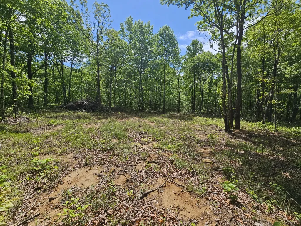 488 Hunters Trail Way Altamont TN 37301
