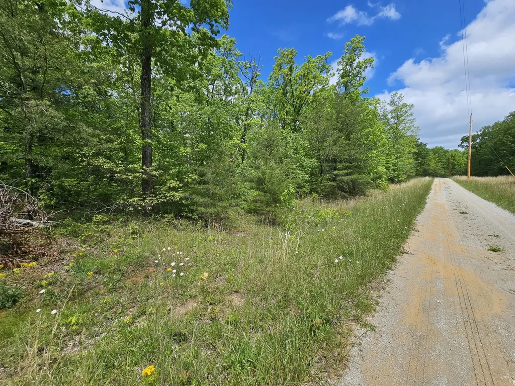 488 Hunters Trail Way Altamont TN 37301