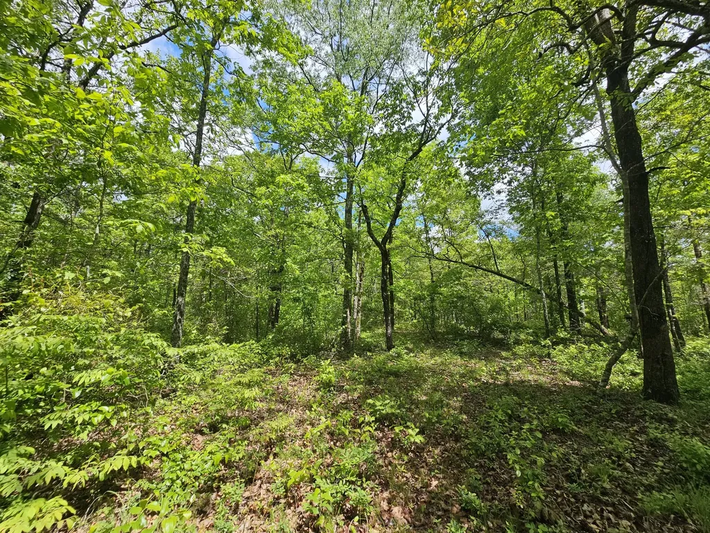 488 Hunters Trail Way Altamont TN 37301