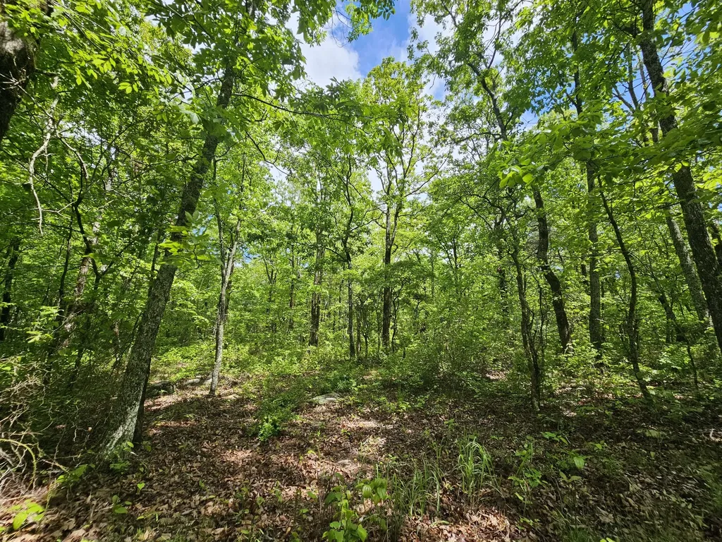 488 Hunters Trail Way Altamont TN 37301