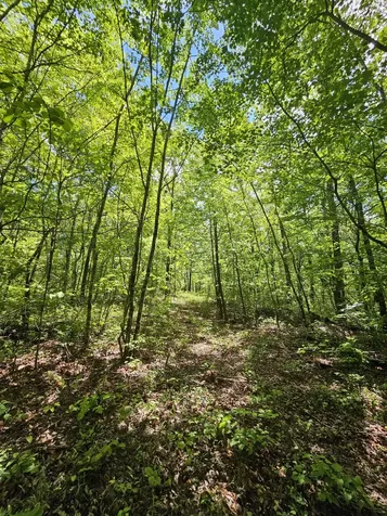 488 Hunters Trail Way Altamont TN 37301