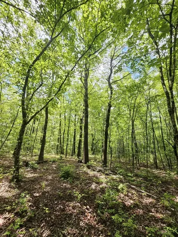 488 Hunters Trail Way Altamont TN 37301