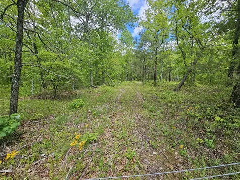 488 Hunters Trail Way Altamont TN 37301