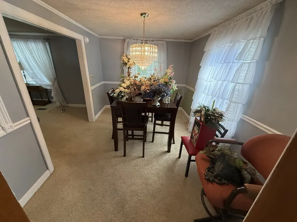 315 Old Morrison Road Mcminnville TN 37110