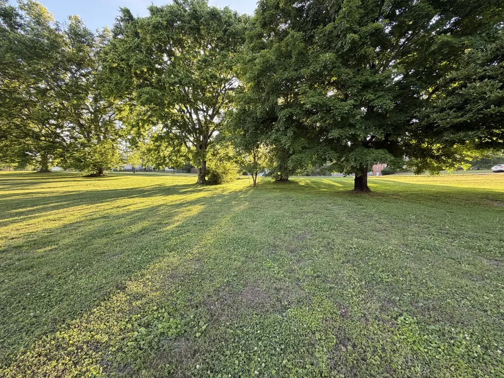 205 Ouida Lane Columbia TN 38401