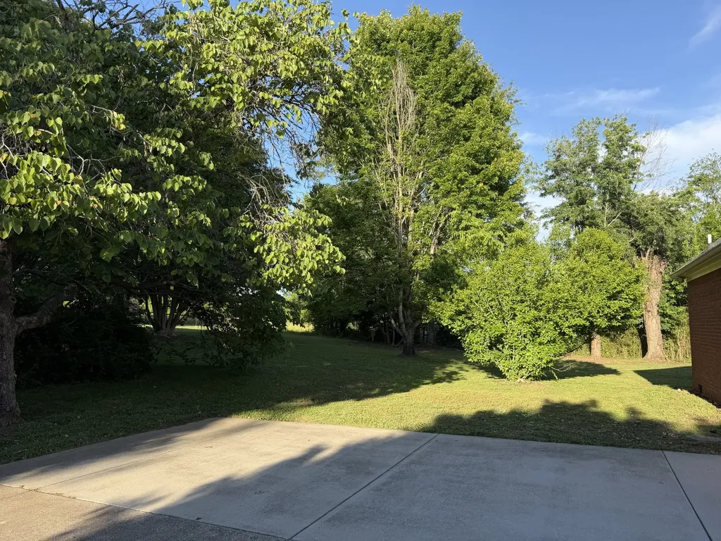 205 Ouida Lane Columbia TN 38401