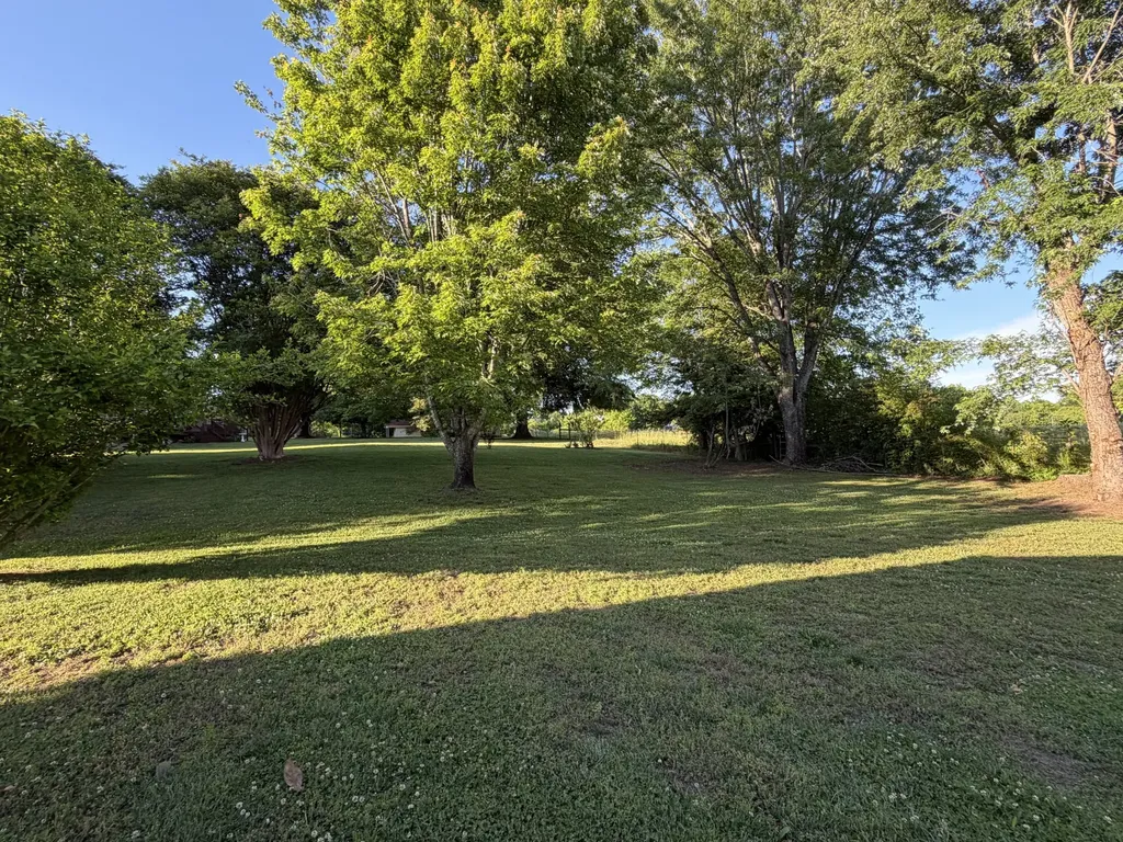 205 Ouida Lane Columbia TN 38401