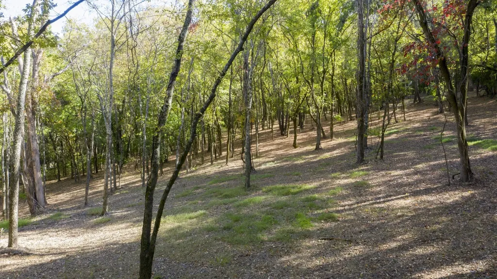 0 Steeplechase Lane Franklin TN 37069