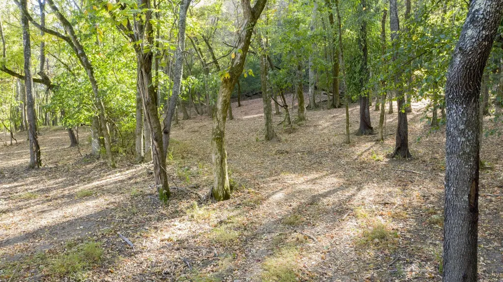 0 Steeplechase Lane Franklin TN 37069